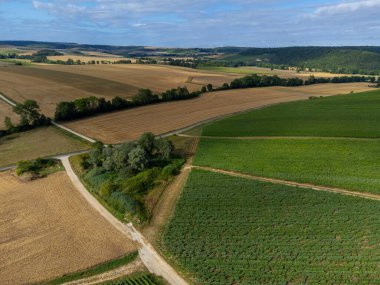 Urville yakınlarında üzüm bağları olan tepelerde hava manzarası, yazın Champange, Fransa 'nın güneyinde Cote des Bar, Aube' de yeşil şampanya bağları.
