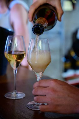 Fransız şampanyası, Cote des Bar 'da hafta sonu şampanya festivali güzergahında köpüklü beyaz şarap tatmak.