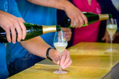 Fransız şampanyası, Cote des Bar 'da hafta sonu şampanya festivali güzergahında köpüklü beyaz şarap tatmak.