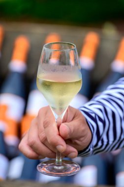 Fransız şampanyası, Cote des Bar 'da hafta sonu şampanya festivali güzergahında köpüklü beyaz şarap tatmak.