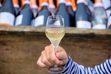 Fransız şampanyası, Cote des Bar 'da hafta sonu şampanya festivali güzergahında köpüklü beyaz şarap tatmak.