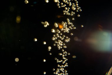 Bir bardak Fransız şampanyası köpüklü siyah arka plan köpüklü şampanya, altın kabarcıklar kapanıyor