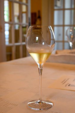 Grand Cru şarap üreticisi küçük bir köy olan Ambonnay, Champagne, Fransa 'da şampanya üreten eski bir şampanyada köpüklü beyaz şarap tatmak.