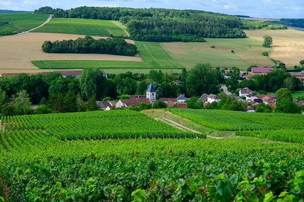 乌维尔有葡萄园的小山 法国香槟市南部奥贝Cote Des Bar有香槟酒葡萄园 — 图库照片