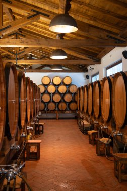 Beyaz, gül, kırmızı ve tatlı şaraplar büyük ve küçük fıçılarda satılıyor İtalya 'da şarap mahzenlerinde, Lazio