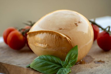 Tütsülenmiş İtalyan yumuşak peyniri Mozzarella di Bufala Campana taze yeşil fesleğen ve kırmızı Sicilya domatesleriyle servis edilir.