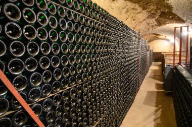 Yeraltındaki mağaralarda, ahşap raflarda şişelerle yürüyoruz. Geleneksel şampanya yapımı Chardonnay ve Epernay, Champagne, France 'da siyah üzümler.