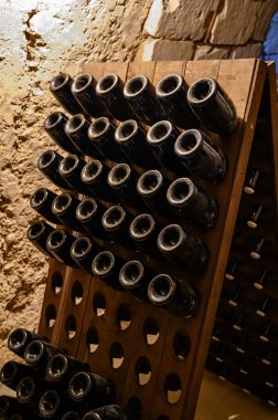 Yeraltındaki mağaralarda, ahşap raflarda şişelerle yürüyoruz. Geleneksel şampanya yapımı Chardonnay ve Epernay, Champagne, France 'da siyah üzümler.