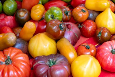 Fransız salata domatesleri, Provence, Fransa 'da pazar yerinde yeni hasatlı büyük aile yadigarı domatesler.