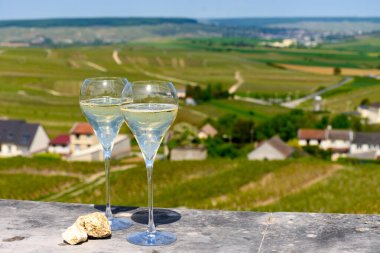 Büyük cru tatmak köpüklü beyaz şarap şampanya ile yaz manzaralı evler ve üzüm bağları büyük cru şarap üreticisi küçük köy Cramant, Champagne, France