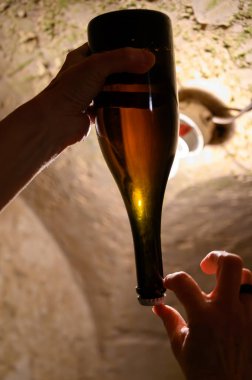 Yeraltındaki mağaralarda çökeltilere, ahşap raflarda şişelere, geleneksel şampanya yapımına Chardonnay 'den köpüklü şampanyalara ve Epernay, Champagne, France' da pinor noir üzümlerine bakıyorum.