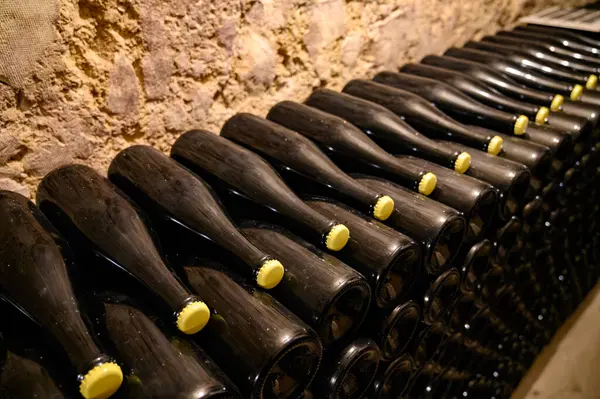 동굴에서 걸어가는 전통적 샴페인 거품이이는 포도주를 만들고 프랑스의 에페네 샹파뉴에 — 스톡 사진