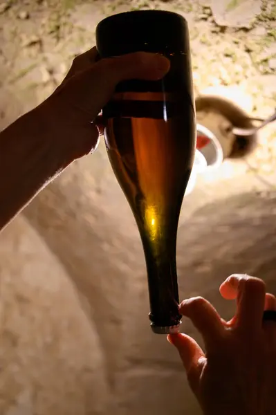 Stock image Checking of sediment in undergrounds caves with bottles on wooden racks, traditional making of champagne sparkling wine from chardonnay and pinor noir grapes in Epernay, Champagne, France