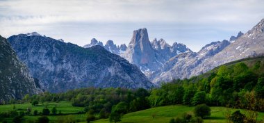 Kuzey İspanya 'nın Asturias kentindeki Picos de Europa' nın Macizo Orta Bölgesi 'nde yer alan Paleozoik Çağ' dan kalma kireçtaşı zirvesi Naranjo de Bulnes veya Picu Urriellu 'nun görüntüsü