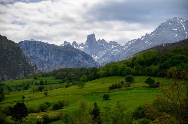 Kuzey İspanya 'nın Asturias kentindeki Picos de Europa' nın Macizo Orta Bölgesi 'nde yer alan Paleozoik Çağ' dan kalma kireçtaşı zirvesi Naranjo de Bulnes veya Picu Urriellu 'nun görüntüsü