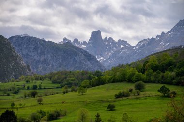 Kuzey İspanya 'nın Asturias kentindeki Picos de Europa' nın Macizo Orta Bölgesi 'nde yer alan Paleozoik Çağ' dan kalma kireçtaşı zirvesi Naranjo de Bulnes veya Picu Urriellu 'nun görüntüsü