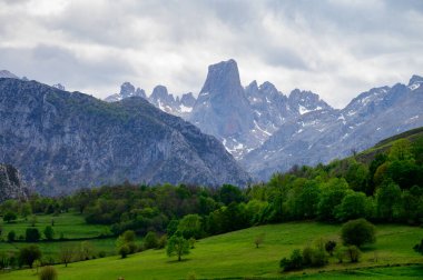 Kuzey İspanya 'nın Asturias kentindeki Picos de Europa' nın Macizo Orta Bölgesi 'nde yer alan Paleozoik Çağ' dan kalma kireçtaşı zirvesi Naranjo de Bulnes veya Picu Urriellu 'nun görüntüsü
