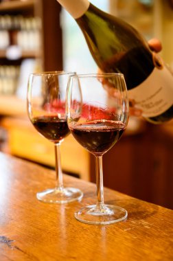 İspanyol rioja şarabının çeşitli tatları, şarap mahzenlerinin ziyareti, Rioja şarap üretim bölgesi, İspanya