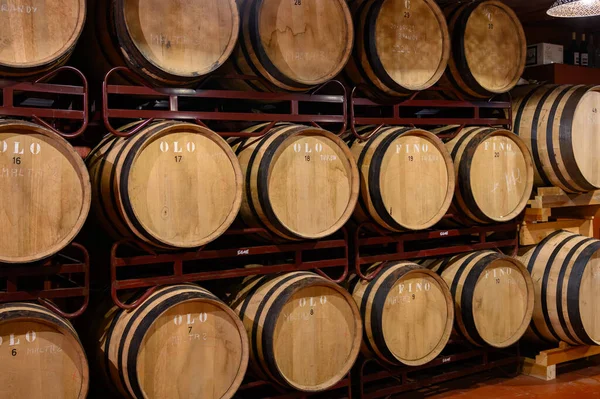 Výroba Opevněných Jerez Xeres Sherry Vín Francouzských Dubových Sudech Sherry — Stock fotografie