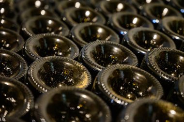 Bir sürü şampanya köpüklü şarap. Yeraltı mağaralarının ziyareti, Cote des Bar, Aube, Fransa 'nın güneyinde geleneksel şampanya yapımı.