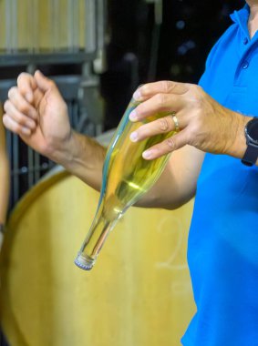 Yeraltı mağaralarını ziyaret etmek, tortuları şişede göstermek, Cote des Bar 'da geleneksel şampanya yapımı köpüklü şarap, şampanya, Fransa