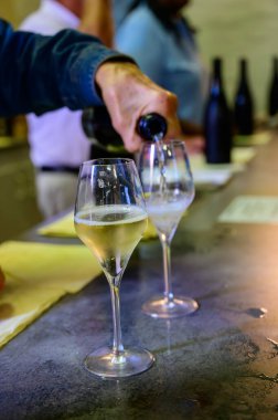 Yaz tatilinde şampanya eşliğinde köpüklü beyaz şarap tatmak Celles-sur-Ource, Cote des Bar, Champagne District, Fransa