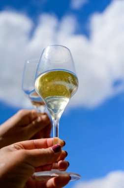 Bir bardak köpüklü beyaz şarap şampanya ve mavi gökyüzü Cote des Bar 'da, Fransa' da yazın