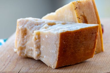 Geleneksel İtalyan yemekleri - 36 aylık mağaralarda Parma, Parmigiano-Reggiano, İtalya 'dan İtalyan parmesanlı sert inek sütlü peyniri