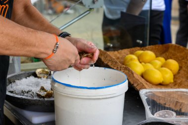 Fransa 'nın Normandiya kentinde istiridye festivalinde taze Fransız Gillardeau istiridyelerinin kabuğu soyulmaya hazır.