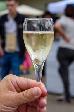 Fransız şampanyası, Cote des Bar 'da hafta sonu şampanya festivali güzergahında köpüklü beyaz şarap tatmak.