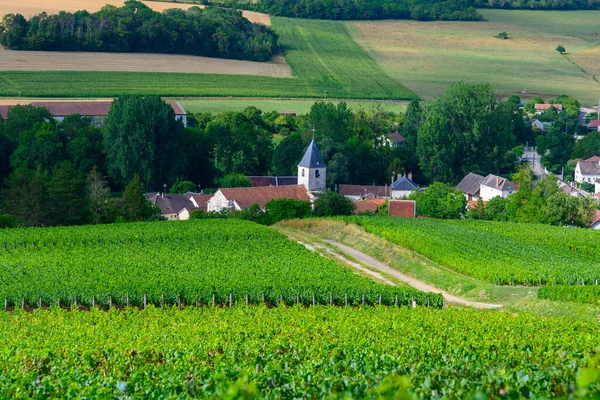 stock image Hills with vineyards and church in Urville, champagne vineyards in Cote des Bar, Aube, south of Champange, France