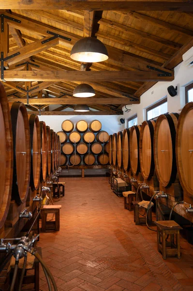 イタリアのワインセラーで販売するための大きな小樽の白 赤と赤の乾燥した甘いワイン — ストック写真