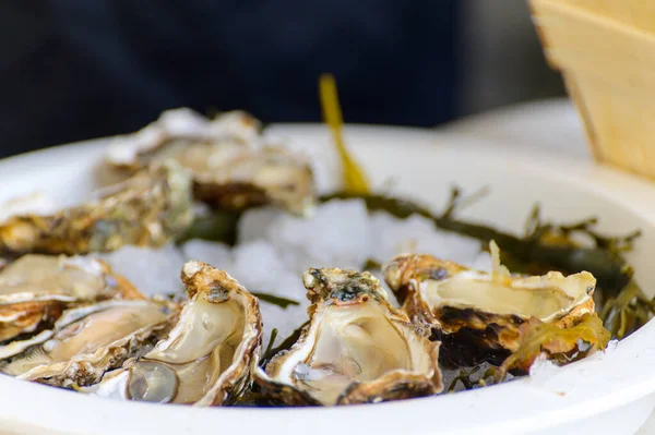 Taze Fransız Gillardeau istiridye yumuşakçaları limonla buzda kabuk bağlamış, yakından yemeye hazır, Marienne-Oleron, Fransa