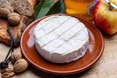 Fransız peyniri, orijinal Camembert de Normandie peyniri, beyaz küfle kaplayın.