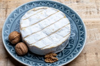 Fransız peyniri, orijinal Camembert de Normandie peyniri, beyaz küfle kaplayın.