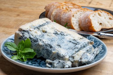 Peynir koleksiyonu, İtalya 'nın kuzeyinden mavi küflü İtalyan peynirli gorgonzola picante.