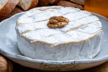 Fransız peyniri, orijinal Camembert de Normandie peyniri, beyaz küfle kaplayın.