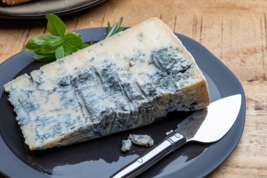 Peynir koleksiyonu, İtalya 'nın kuzeyinden mavi küflü İtalyan peynirli gorgonzola picante.