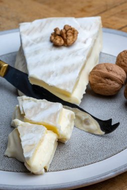 Piece of french soft-ripened white mold cow milk cheese brie produced in Seine-et-Marne region, France, close up