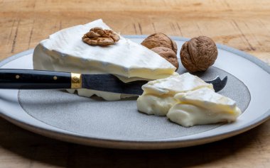 Piece of french soft-ripened white mold cow milk cheese brie produced in Seine-et-Marne region, France, close up