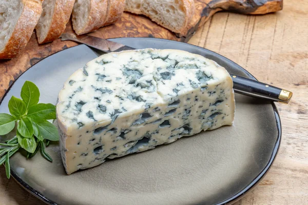 奶酪系列 法国蓝奶酪奥弗涅或4Me Ambert与蓝色模子紧密相连 — 图库照片