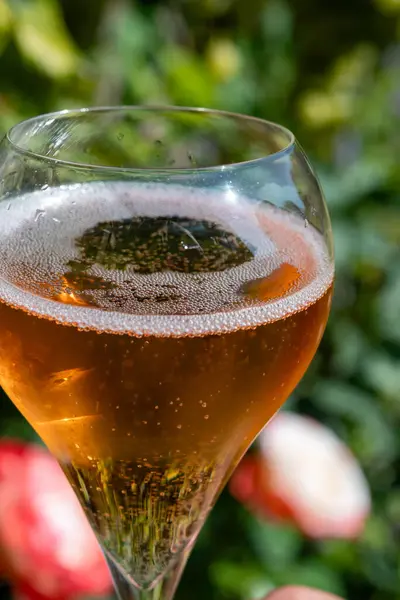 Picnic Garden Glasses Rose Champagne Sparkling Wine Cava Cremant Produced — Stock Photo, Image