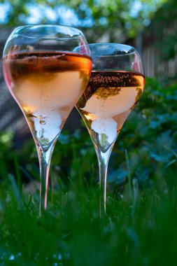 Yeşil çimenler üzerinde piknik, şampanya bardakları, köpüklü şarap veya kava, Fransa 'nın Champagne bölgesindeki mağaralarda geleneksel yöntemle üretilen kremant.