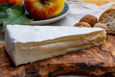 Piece of french soft-ripened white mold cow milk cheese brie produced in Seine-et-Marne region, France, close up