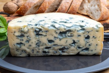 Peynir koleksiyonu, bir parça Fransız küflü peyniri Auvergne ya da dört kat küflü kapak.