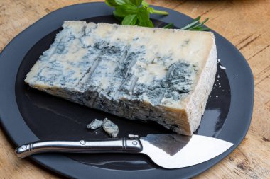 Peynir koleksiyonu, İtalya 'nın kuzeyinden mavi küflü İtalyan peynirli gorgonzola picante.