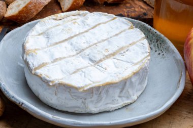 Fransız peyniri, orijinal Camembert de Normandie peyniri, beyaz küfle kaplayın.