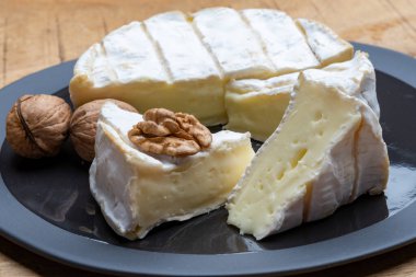 Fransız peyniri, orijinal Camembert de Normandie peyniri, beyaz küfle kaplayın.