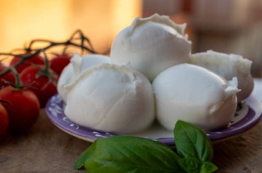 Beyaz küçük İtalyan yumuşak peyniri Mozzarella di Bufala Campana topları taze yeşil fesleğen ve kırmızı Sicilya domatesleriyle servis edilir.