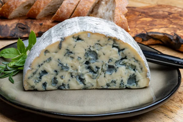 チーズコレクション フランスのブルーチーズオークヴェルンまたは4Meダンバートブルーモールドに近い — ストック写真